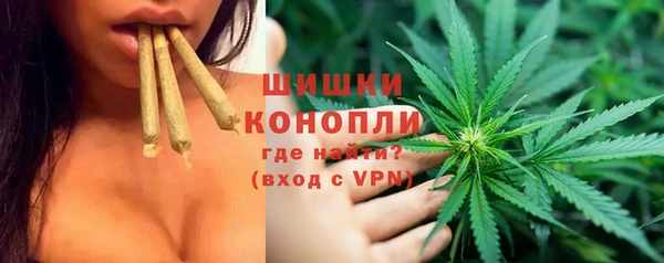 бошки Богданович
