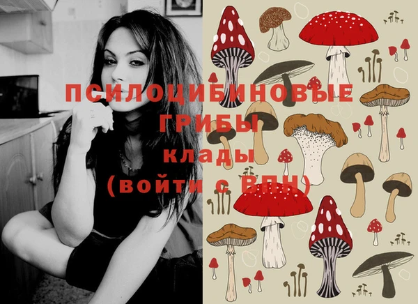 бошки Богданович