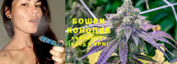 бошки Богданович